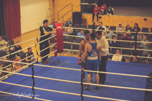 Boxgala 2017-191