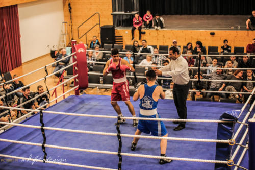 Boxgala 2017-192