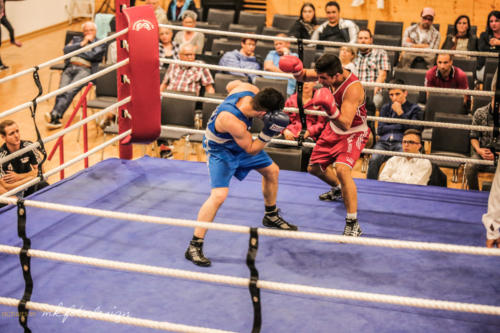 Boxgala 2017-198