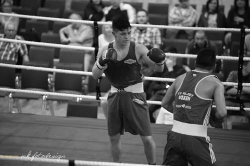 Boxgala 2017-214