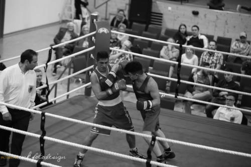 Boxgala 2017-220