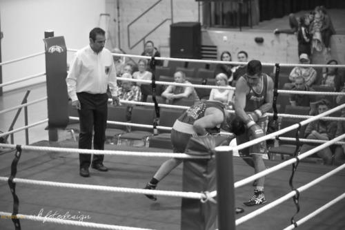 Boxgala 2017-222