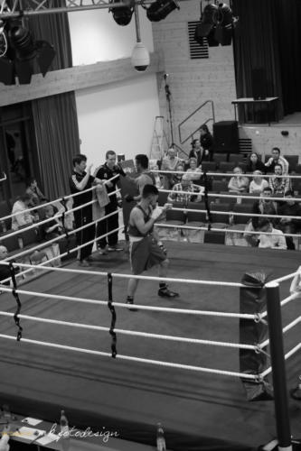 Boxgala 2017-232