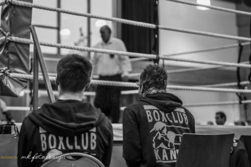 Boxgala 2017-85